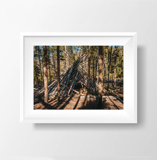 Whimsical Woodland Retreat - Teepee in Colorado Forest Photography Print