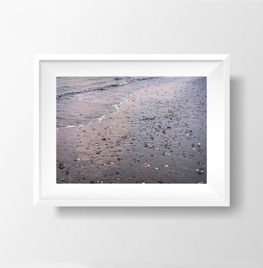 Jersey Shore Treasures - Seashell Beach Photography Print