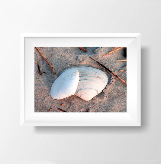 Sunset Shells - Beach Photography Print