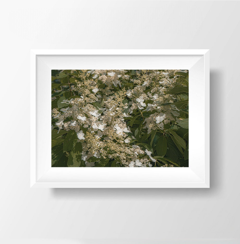 Whimsical Bloom - Dreamy Floral Photography Print