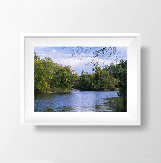 Sunlit Serenity - Schroon River Afternoon Photography Print