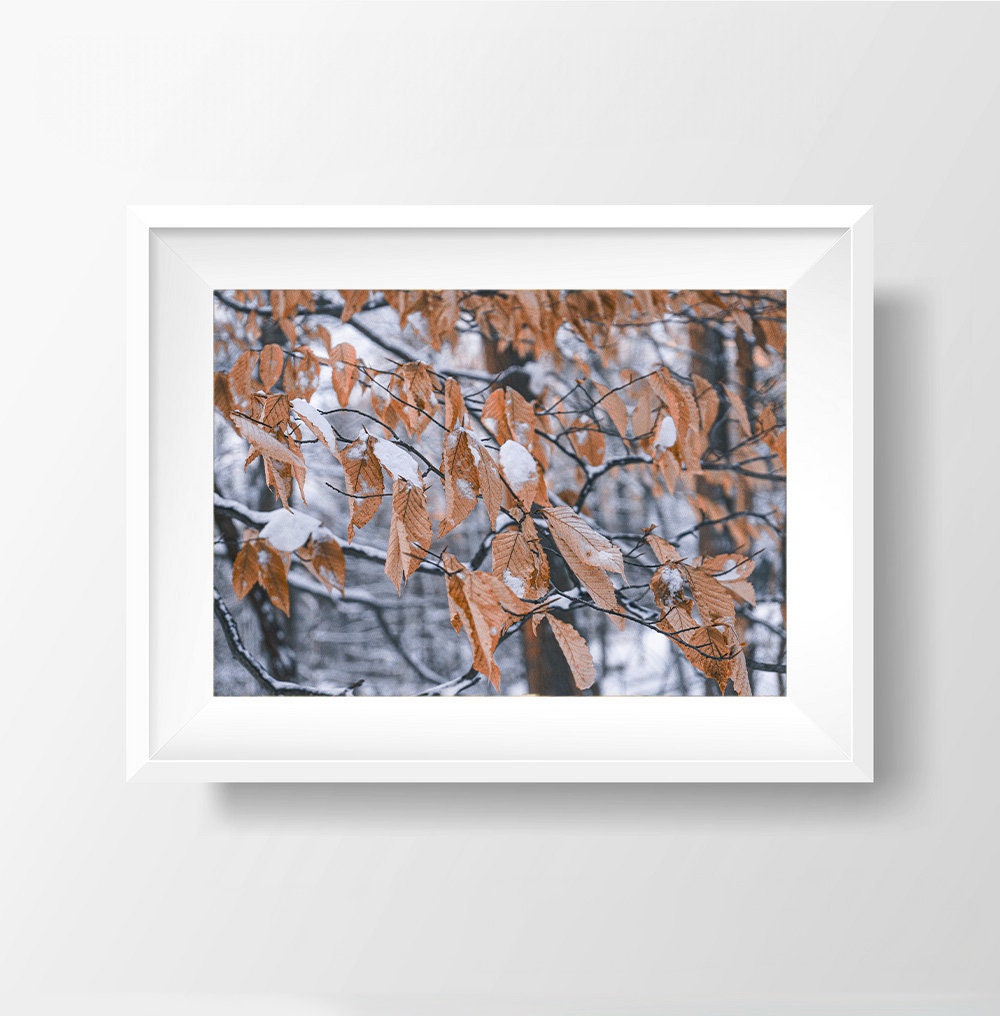 Frozen in Autumn Splendor - Winter Leaves Photography Print